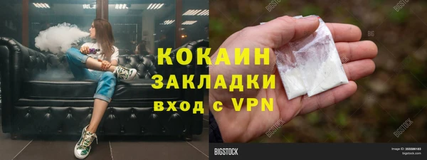 ПСИЛОЦИБИНОВЫЕ ГРИБЫ Лихославль