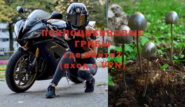 ПСИЛОЦИБИНОВЫЕ ГРИБЫ Лихославль