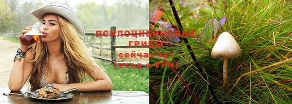 ПСИЛОЦИБИНОВЫЕ ГРИБЫ Лихославль