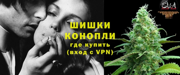 ПСИЛОЦИБИНОВЫЕ ГРИБЫ Лихославль
