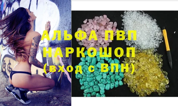 ПСИЛОЦИБИНОВЫЕ ГРИБЫ Лихославль