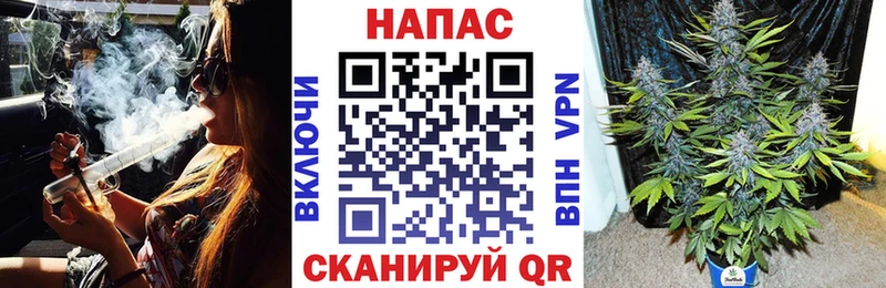 Бошки марихуана планчик  Шумиха 